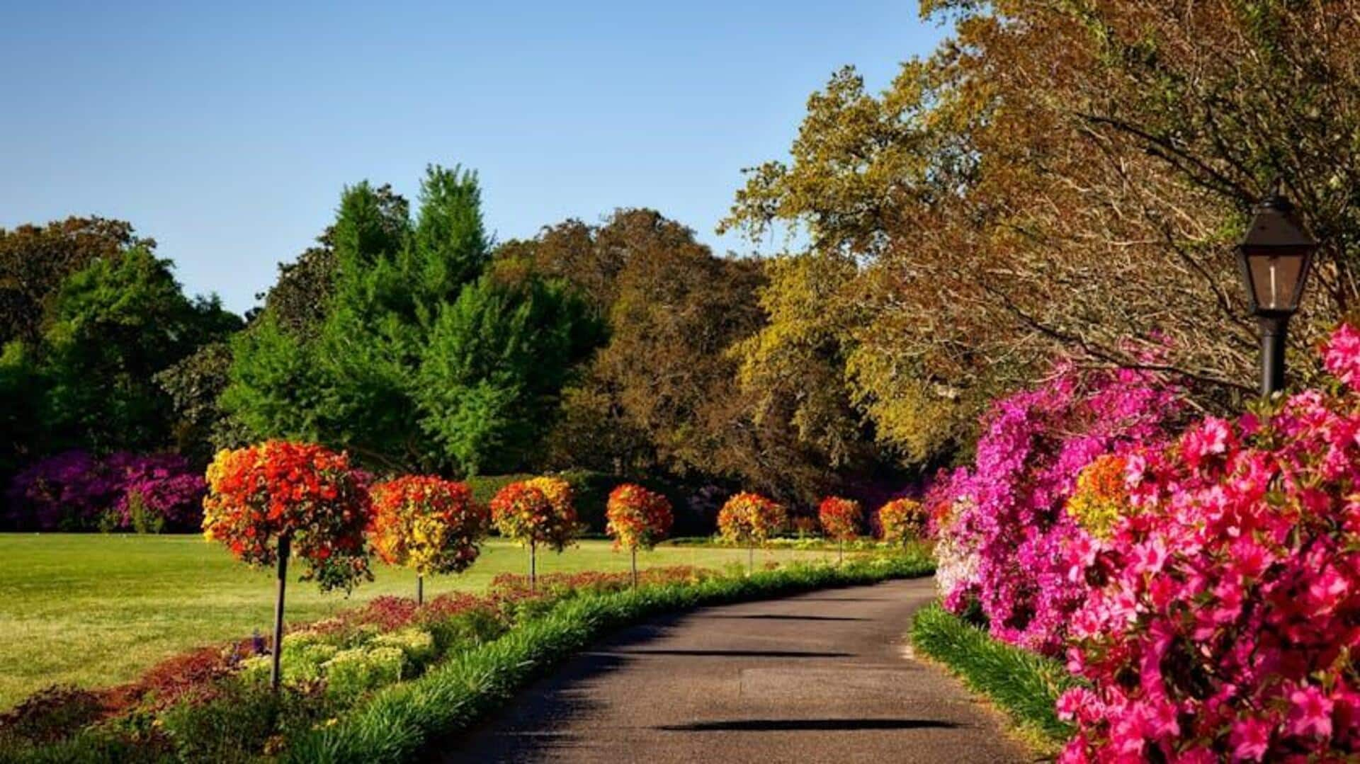 Europe in bloom: Beautiful gardens you can reach by railway