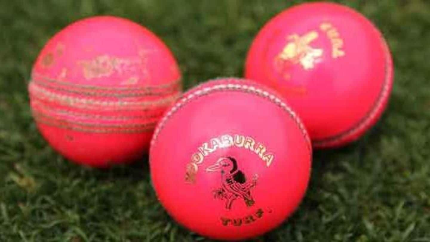 Why are different types of balls used in cricket? NewsBytes