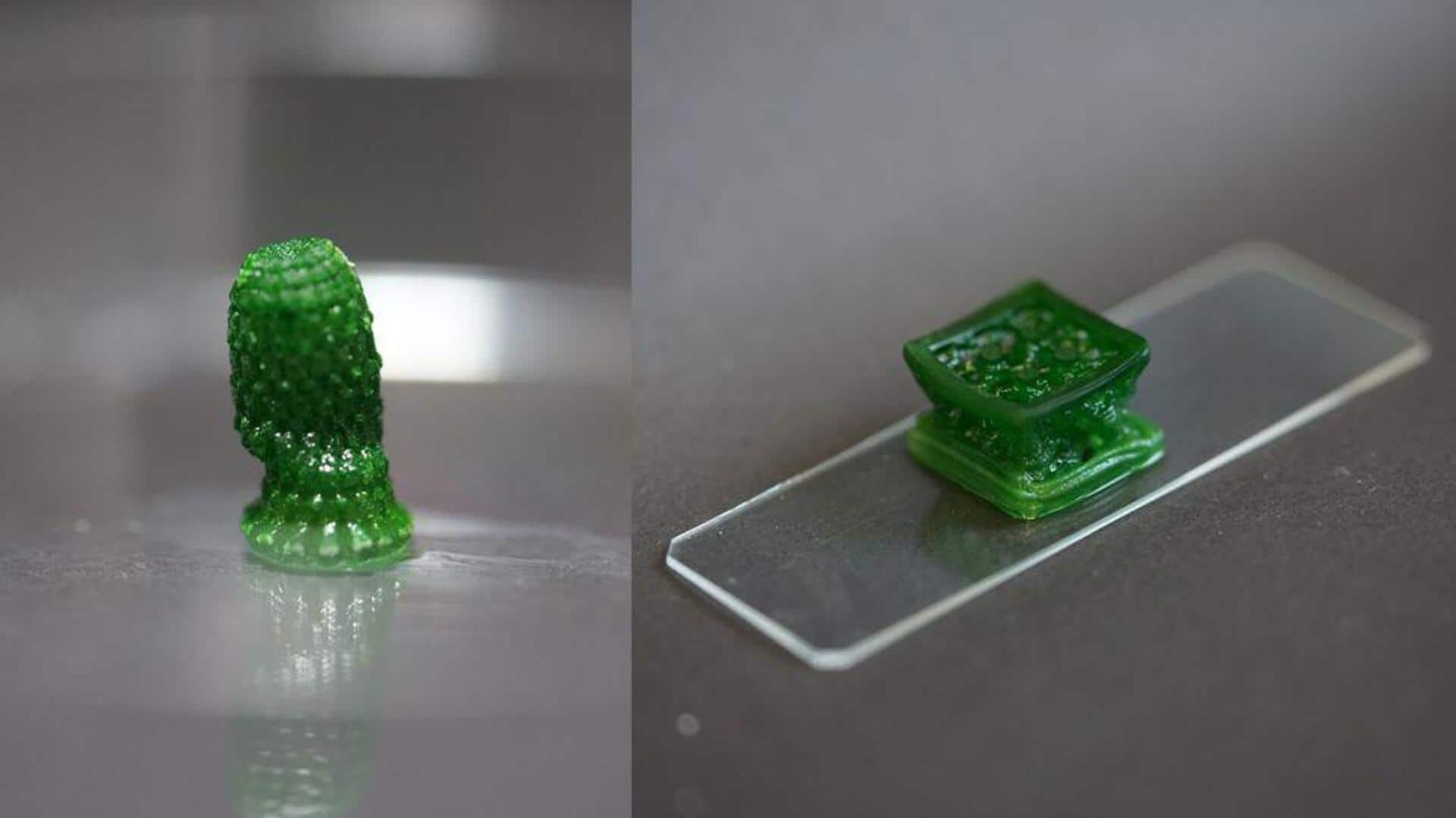 Researchers develop 'living' material that can absorb atmospheric CO2 Researchers develop 'living' material that can absorb atmospheric CO2