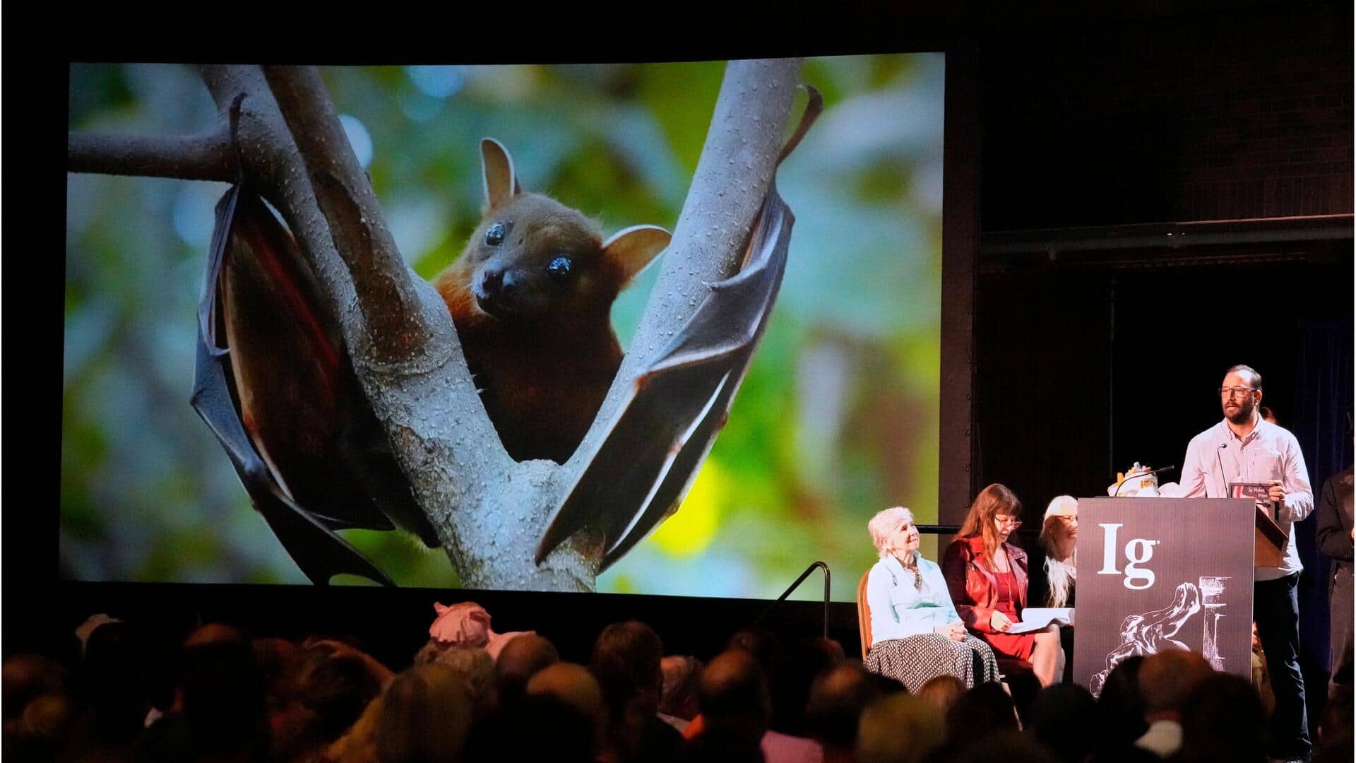 Pizza-loving lizards to alcoholic bats: Bizarre research wins Ig Nobel