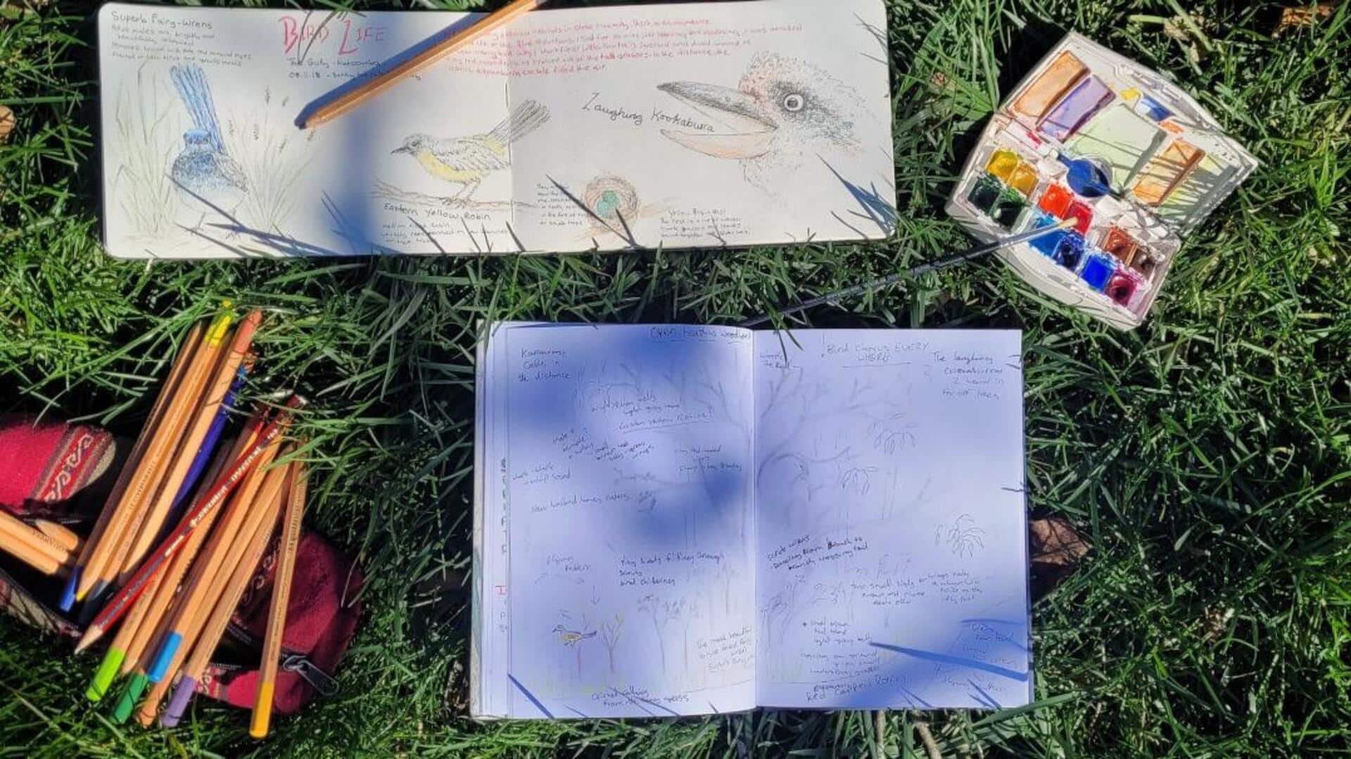 Nature journaling: A guide to self-reflection
