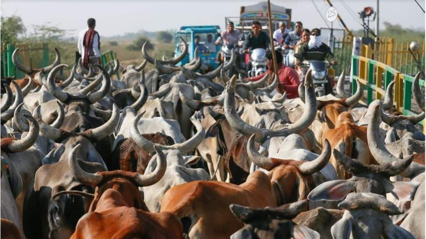 Jharkhand: 11 gaurakshaks get life sentence for lynching a trader