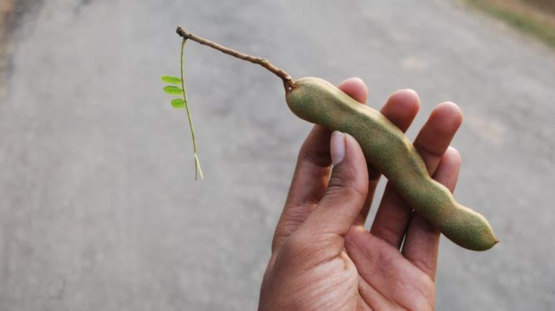 Exploring tamarind's health benefits and culinary uses