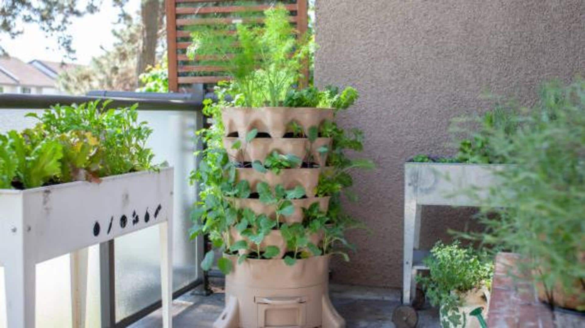 How to grow a vertical herb garden  How to grow a vertical herb garden