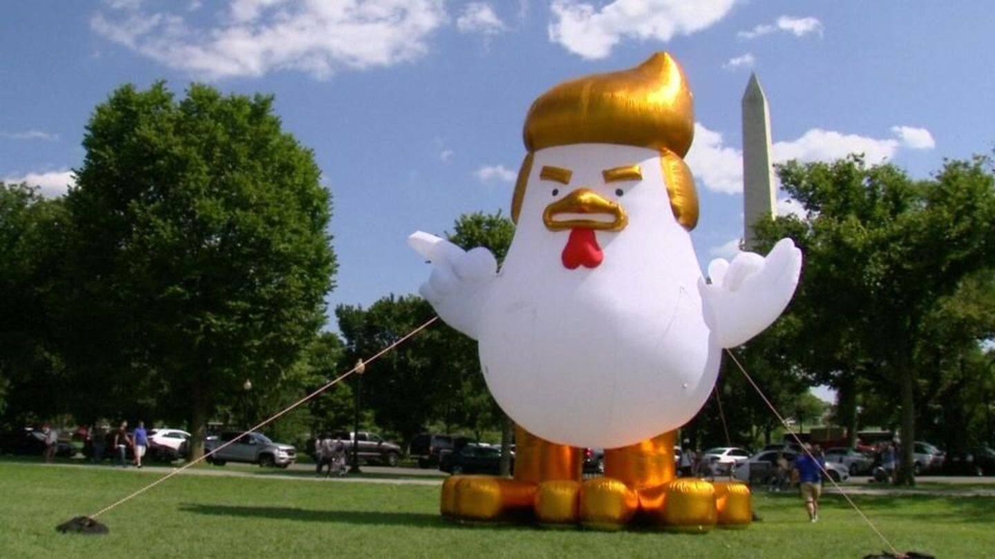 Trump Chicken "steaks out" in protest near White House
