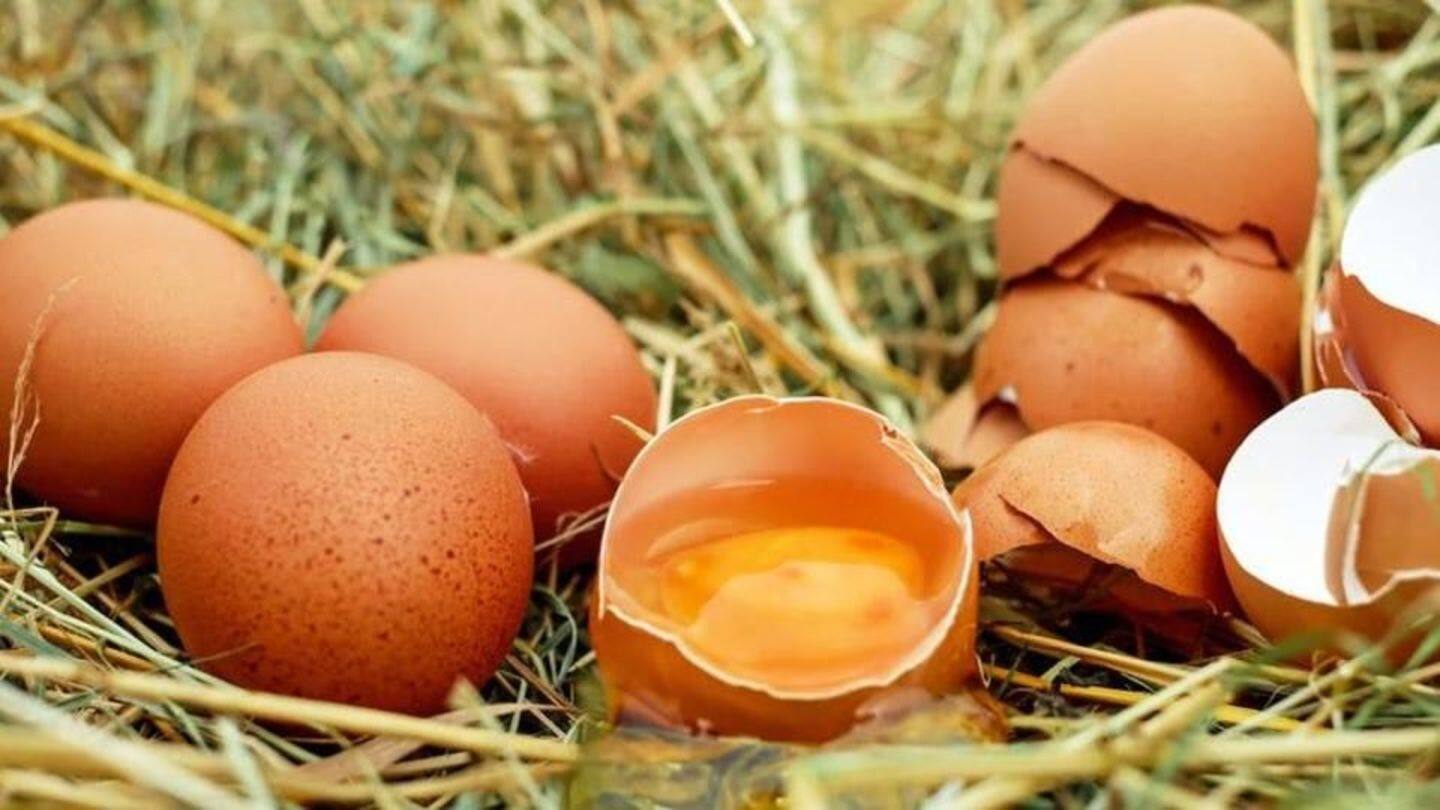 Eggs scandal that is rocking 16 European countries