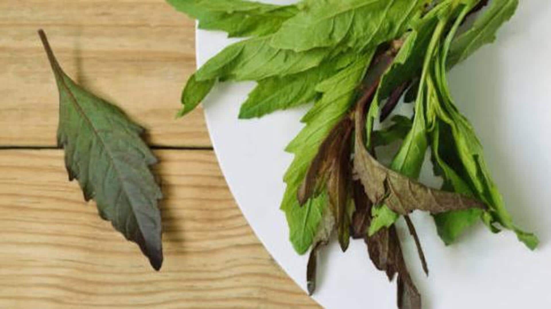 Epazote: The herb behind authentic Mexican flavor 