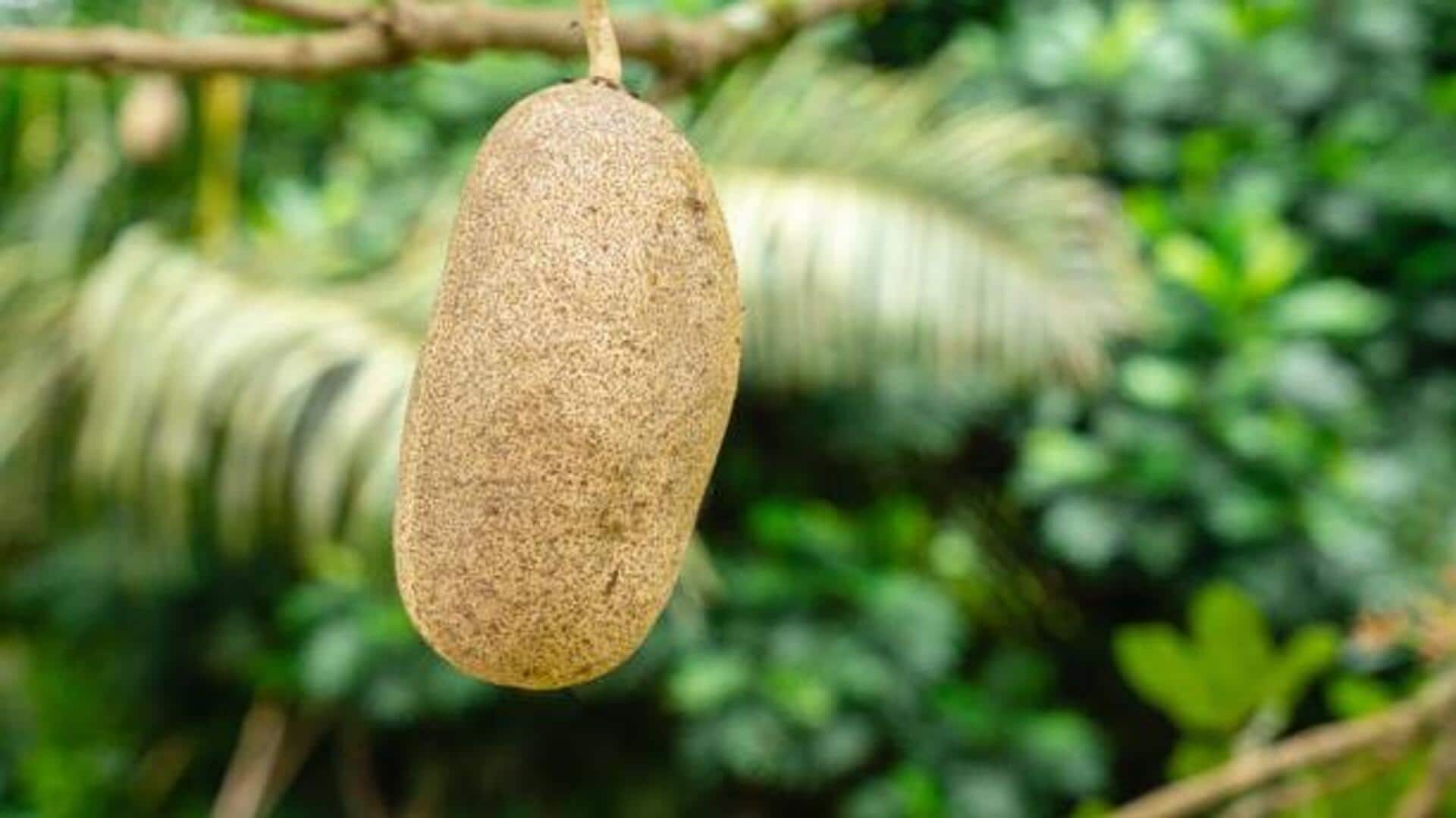 Why kigelia extract is trending in skincare 
