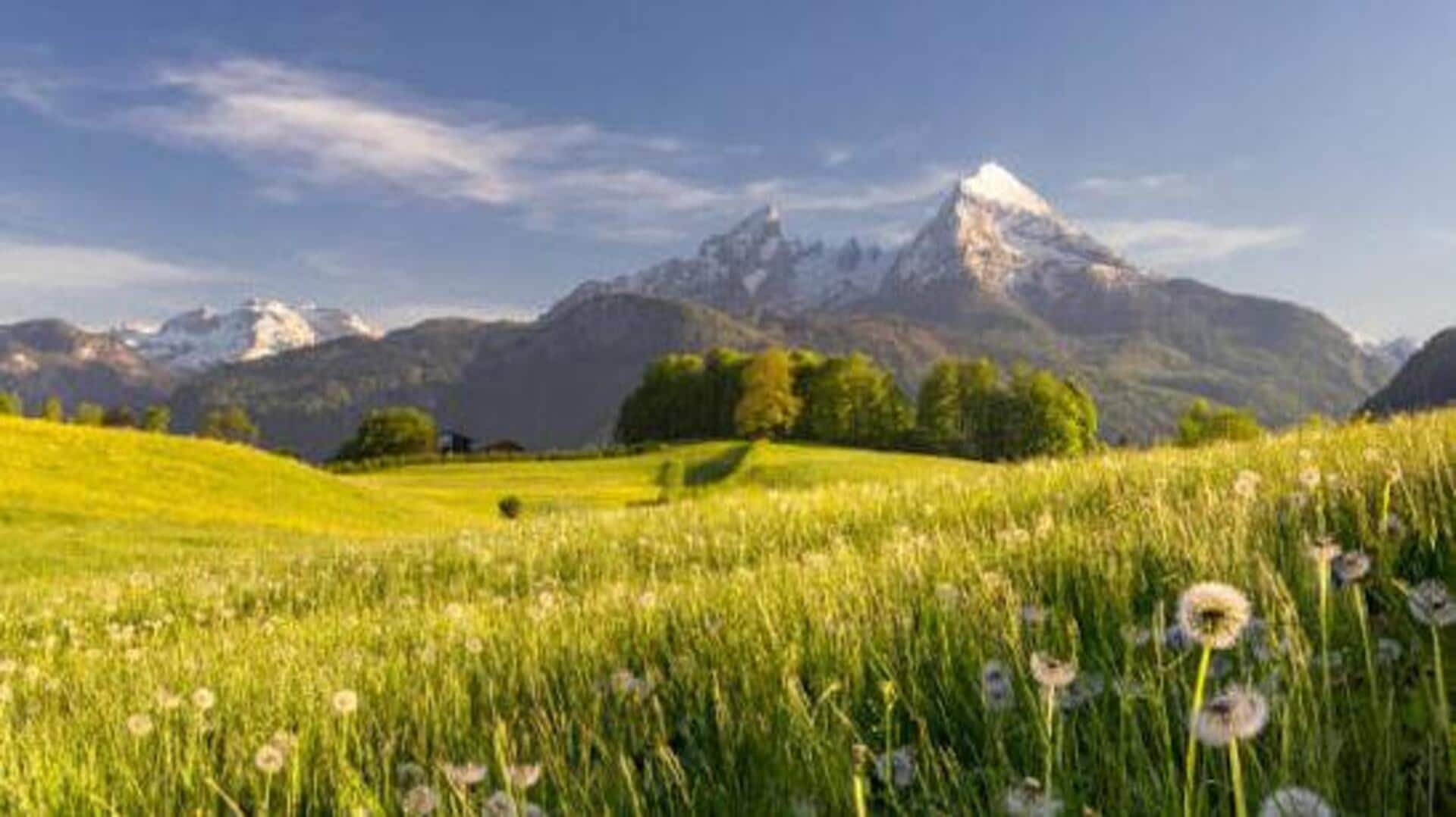 Discover Austria through its beautiful alpine meadows
