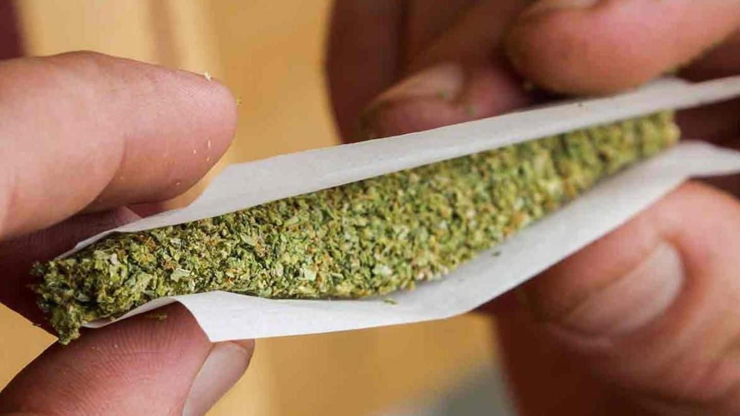 Amid push for legalization, Delhi sees 502% rise in weed-consumption
