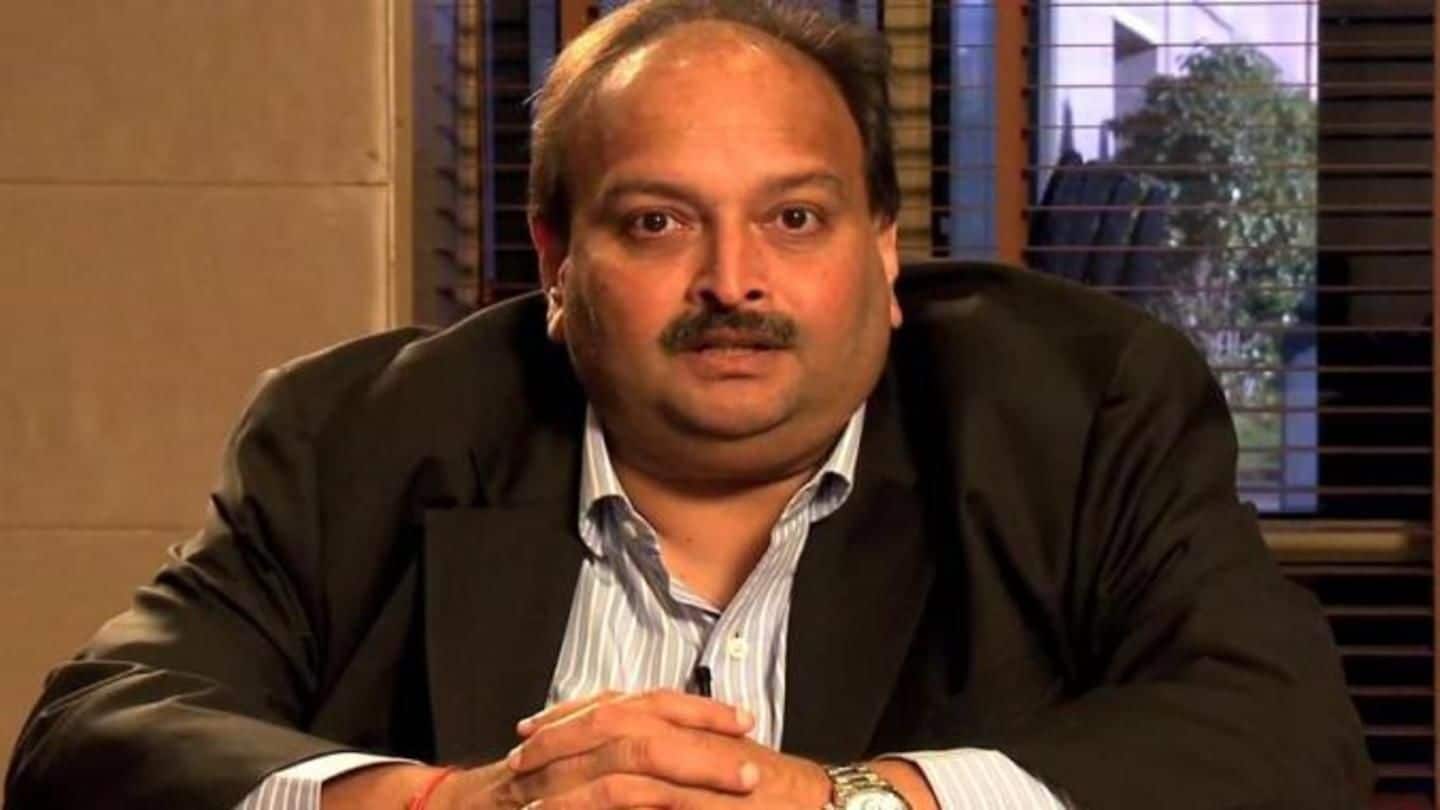 'Extremely busy in businesses abroad': Choksi again refuses to return