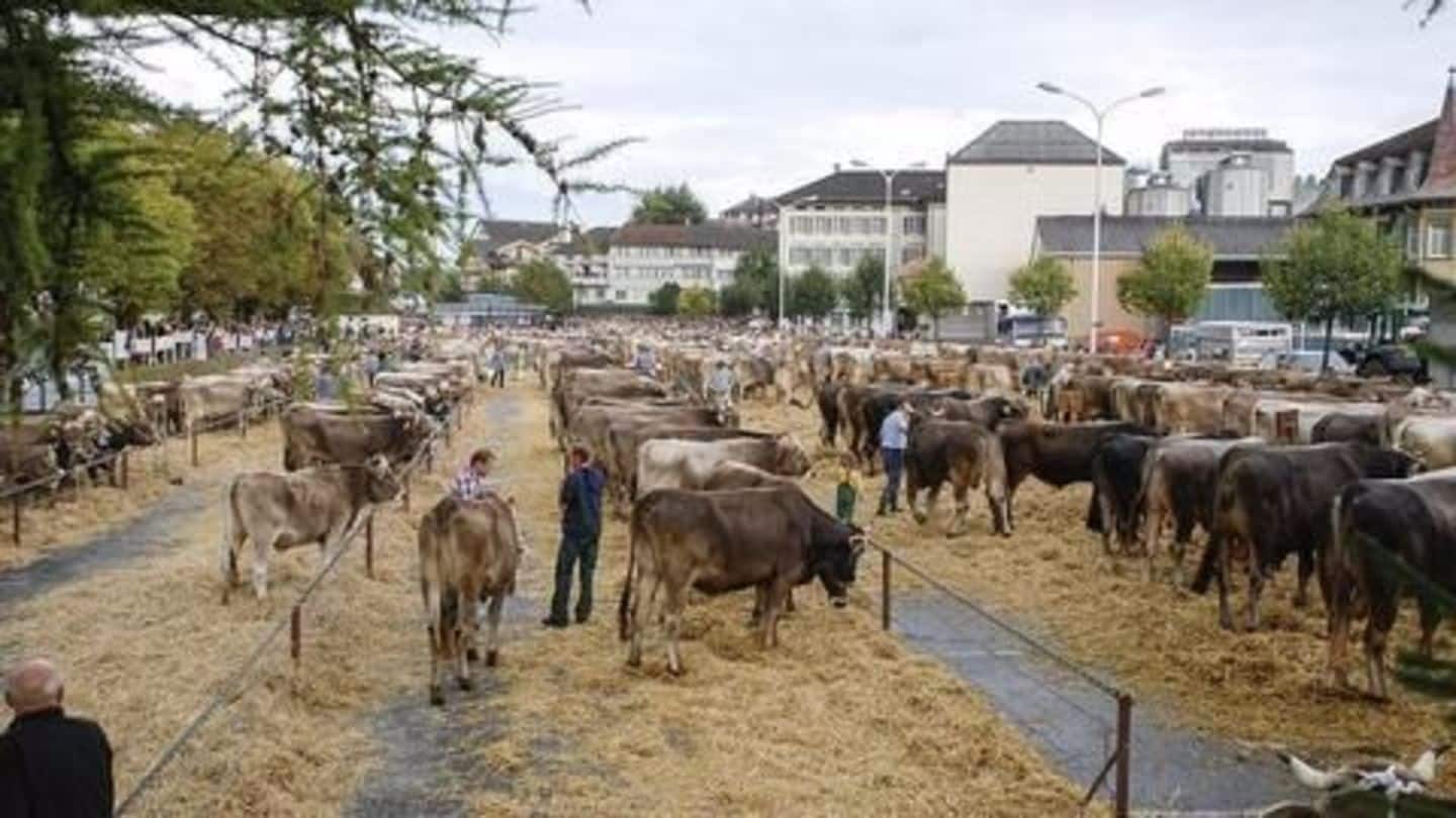 Cattle market in Telangana goes online