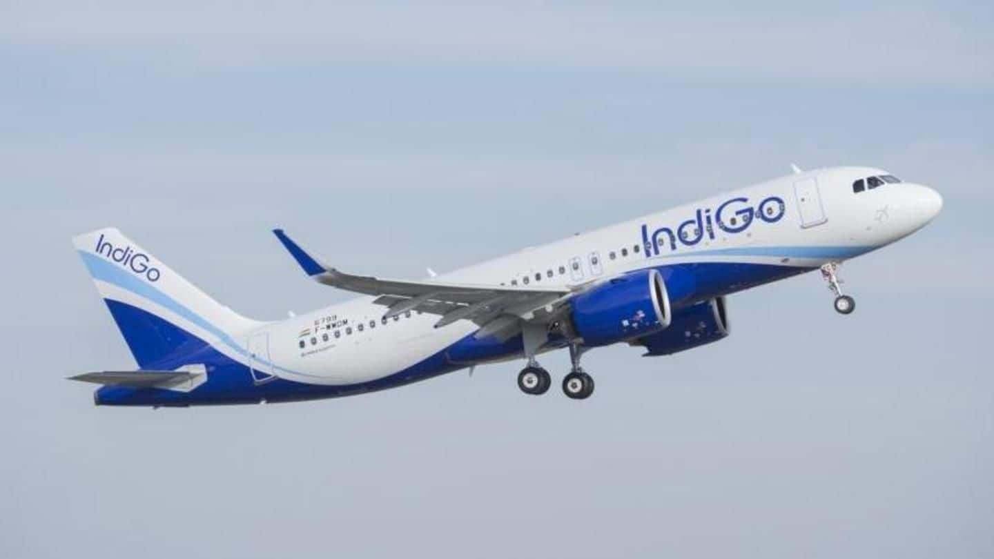 Doctor allegedly manhandled, offloaded from IndiGo-flight after complaining about mosquitoes