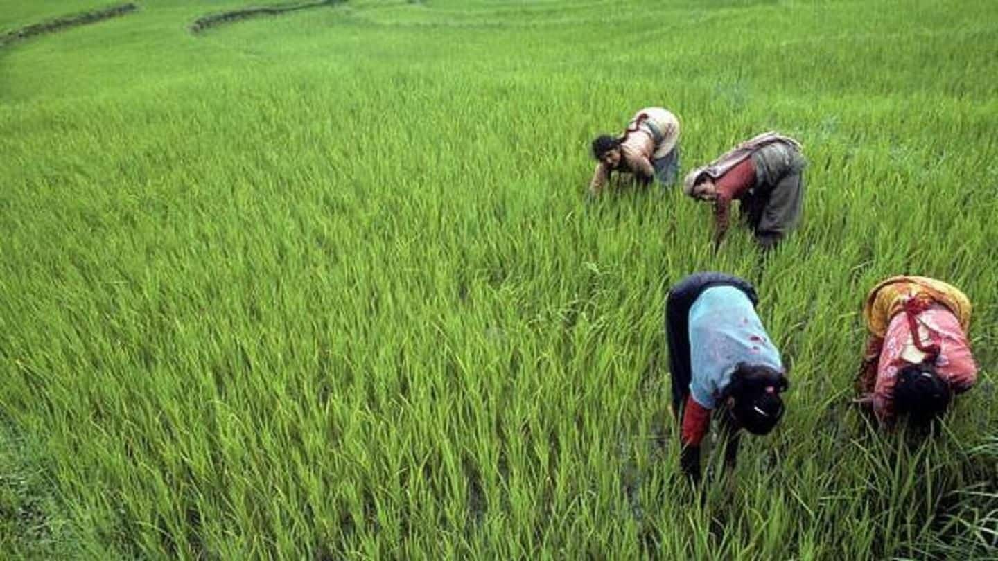 Cheer for farmers: Government fixes MSP at 150% of production-cost