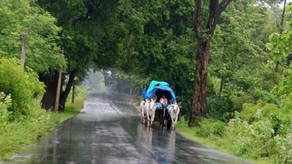 Nine coastal districts in TN including Chennai face heavy rainfall