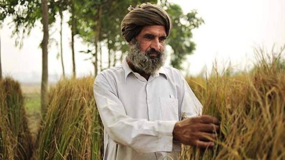 For the first time, credit cards for farmers, courtesy SBI