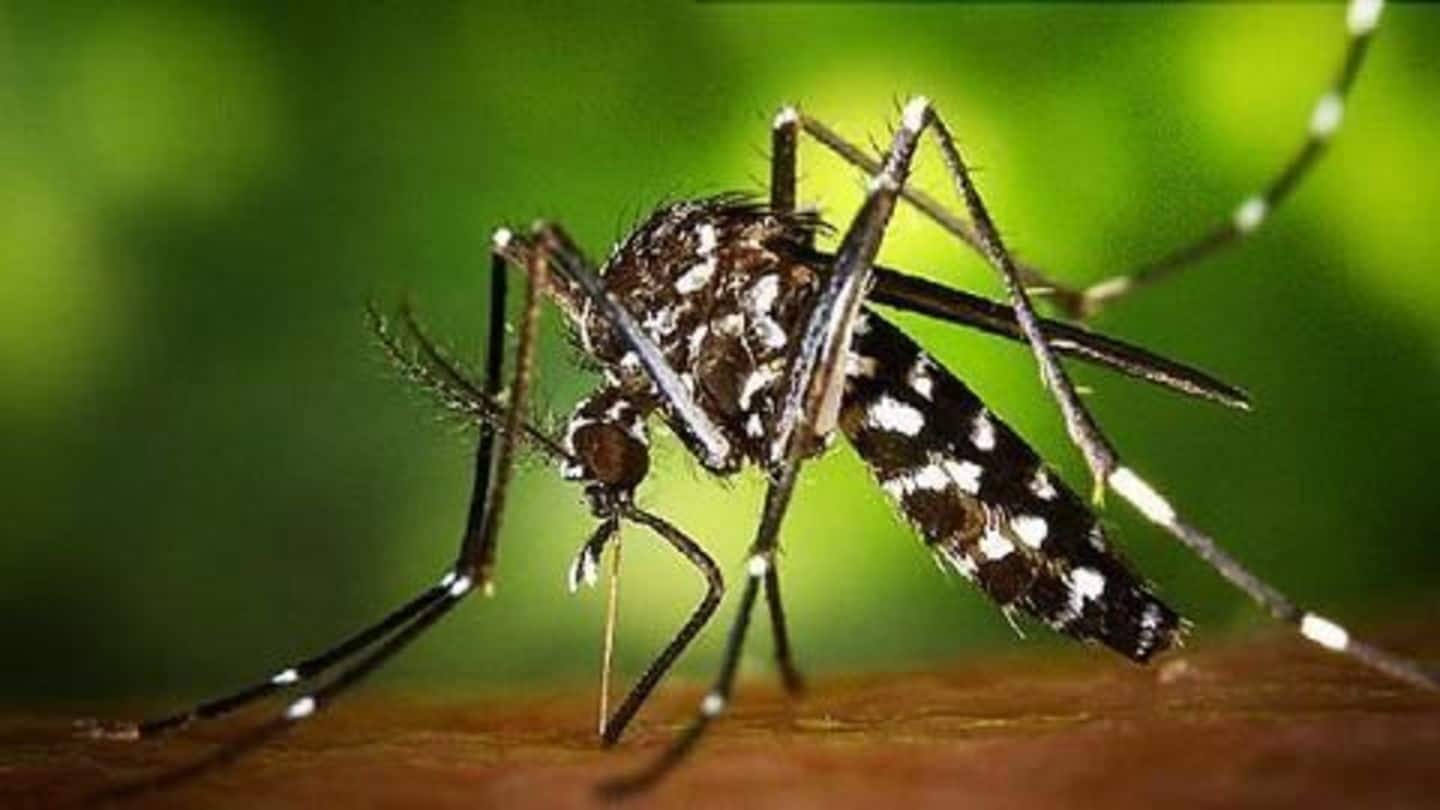 India issues advisory after three Zika cases in Gujarat