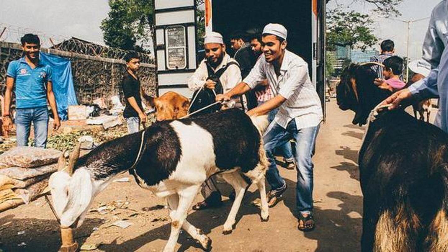 Ahead of Bakri Eid, government-agency launches campaign against animal sacrifice