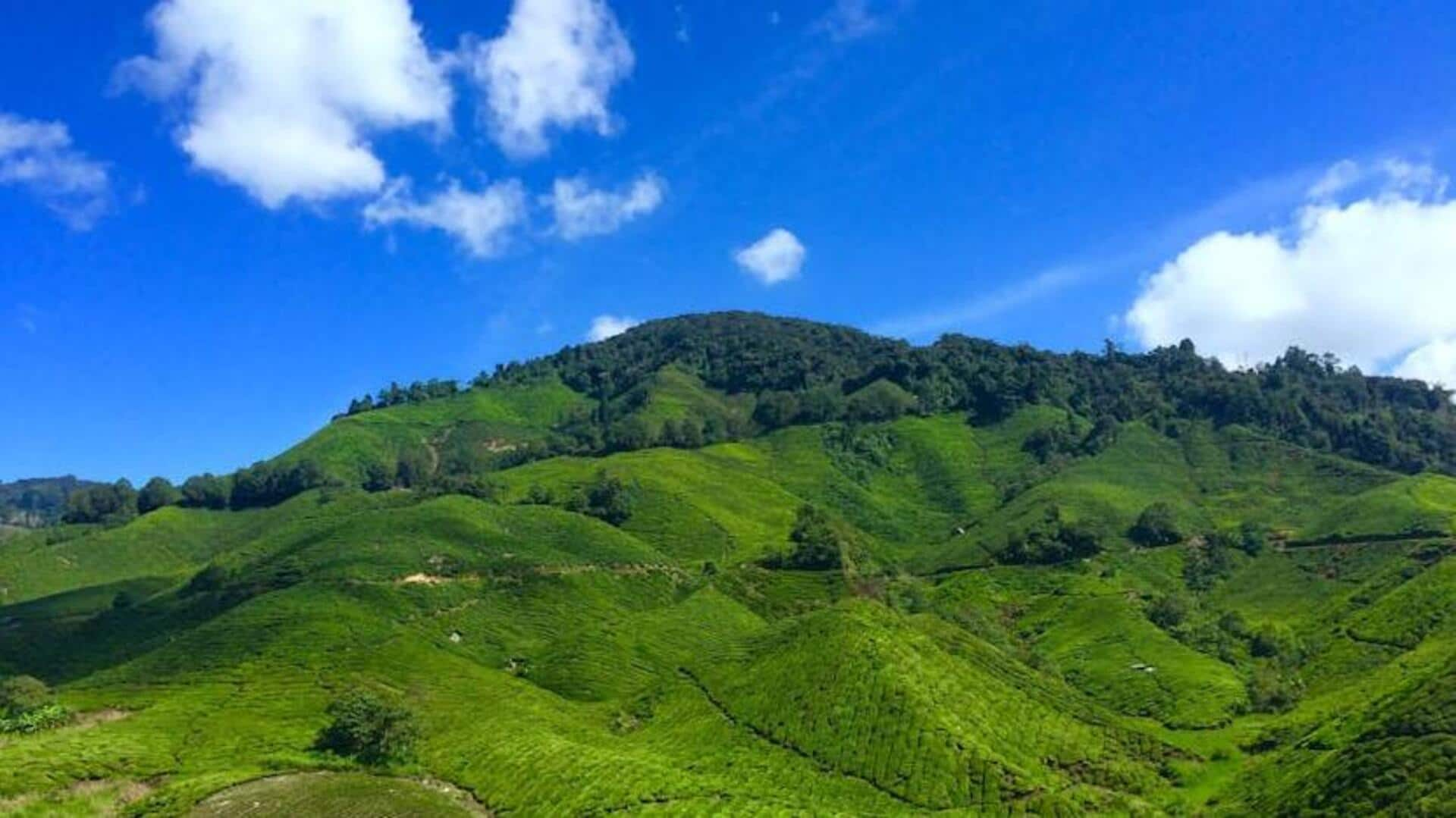 Embrace the serenity of Cameron Highlands, Malaysia