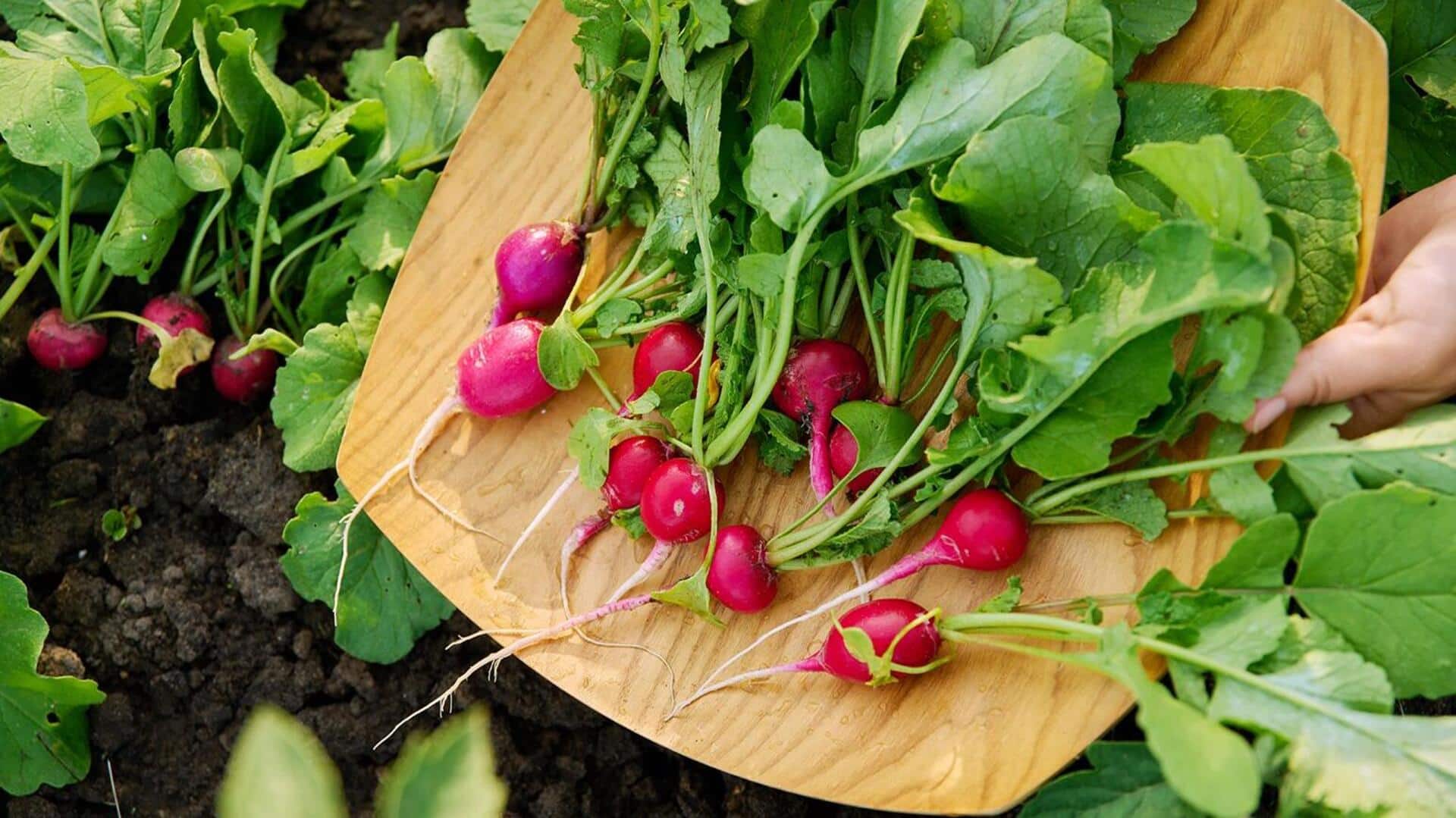 How radish greens can transform your pesto How radish greens can transform your pesto