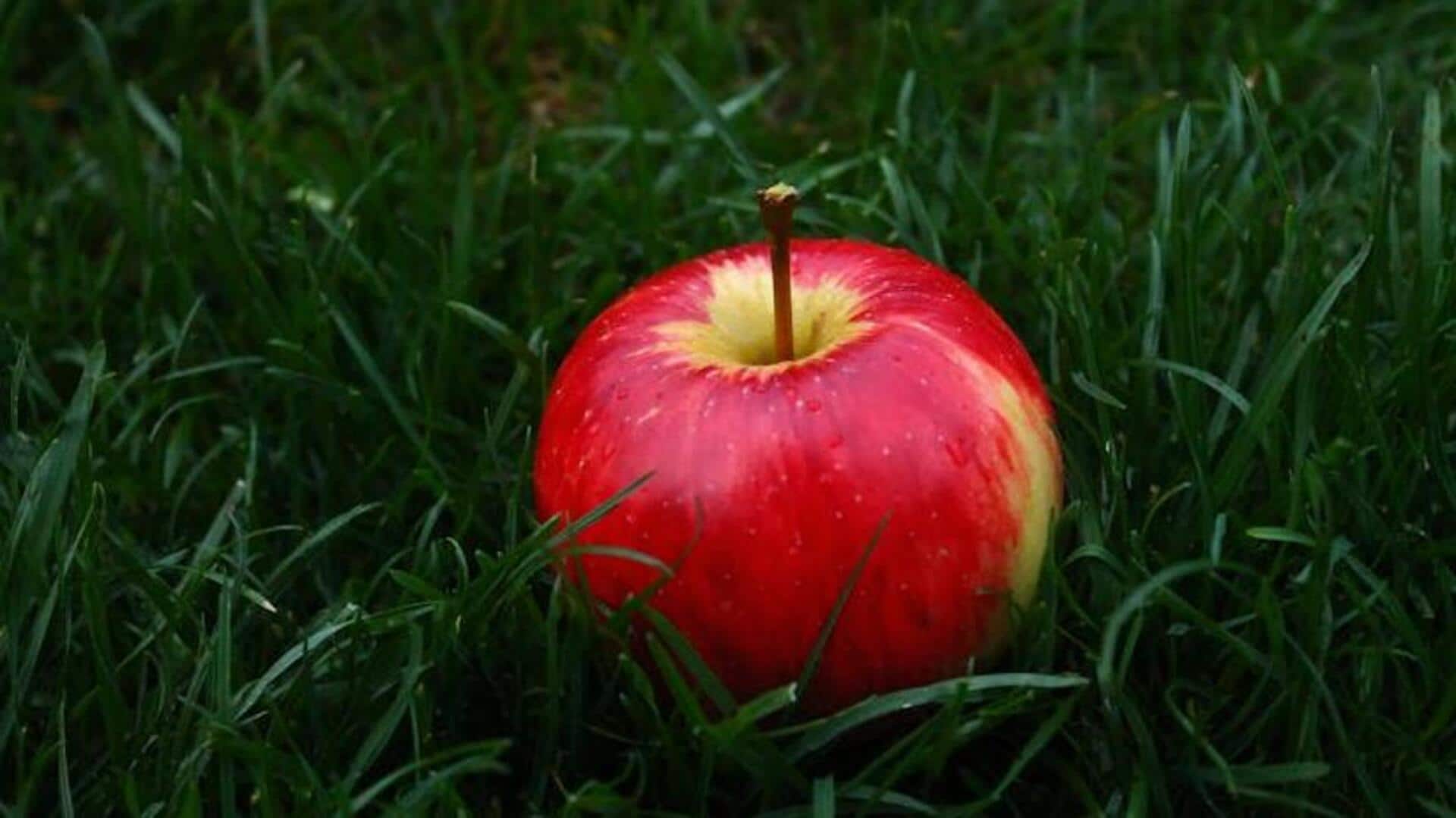 Apple v/s banana: Which one is more nutritious? Apple v/s banana: Which one is more nutritious?