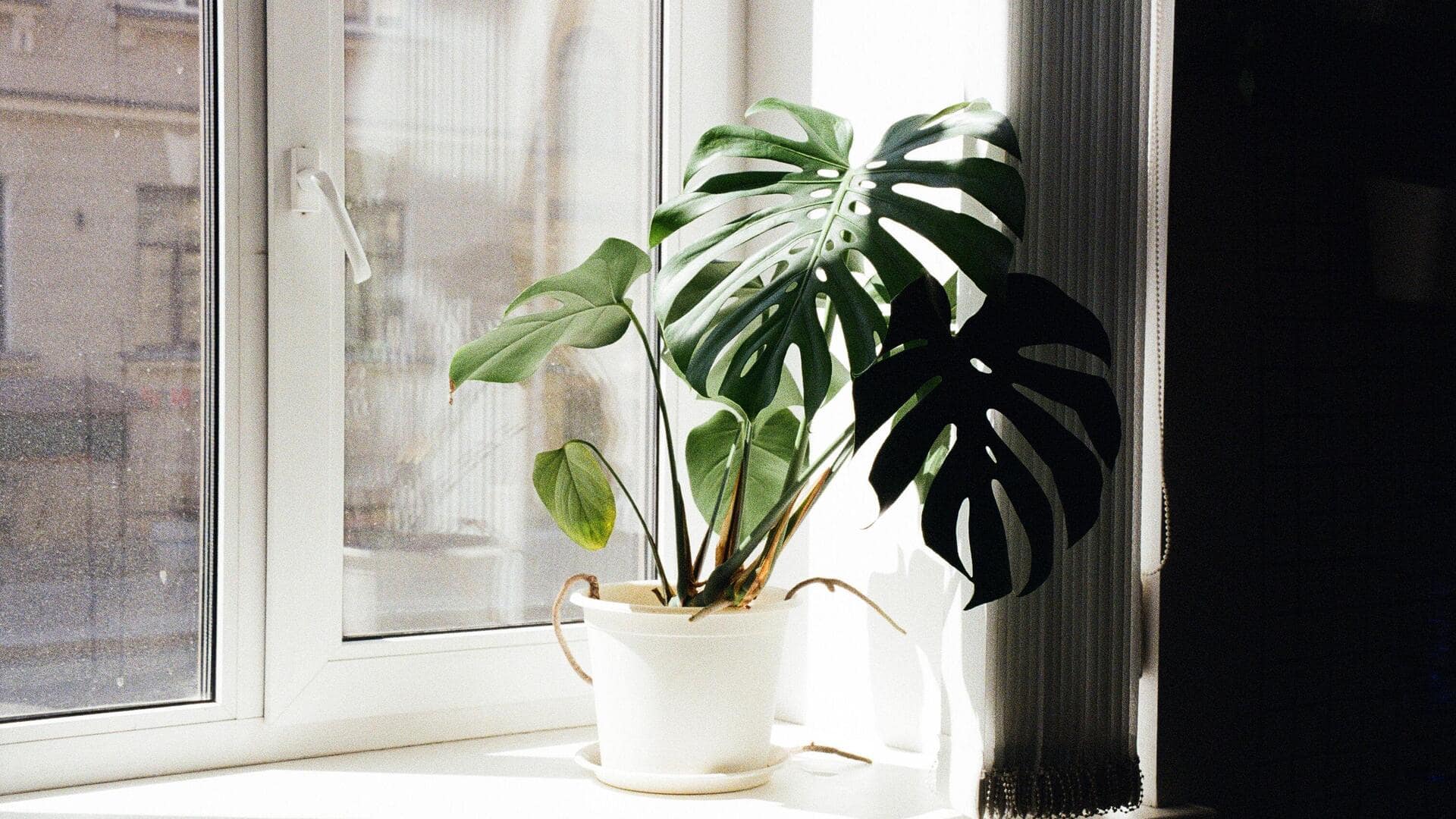 Keep your home dust-free the easy way