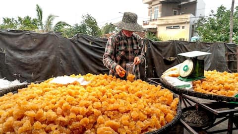 Jaggery: Wonders of this winter must-have