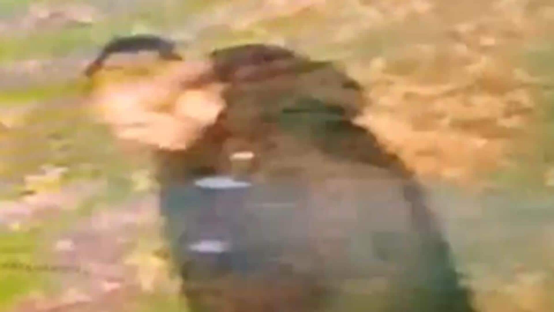 Suspect held in Indian-origin woman's 'racially aggravated' rape Suspect held in Indian-origin woman's 'racially aggravated' rape