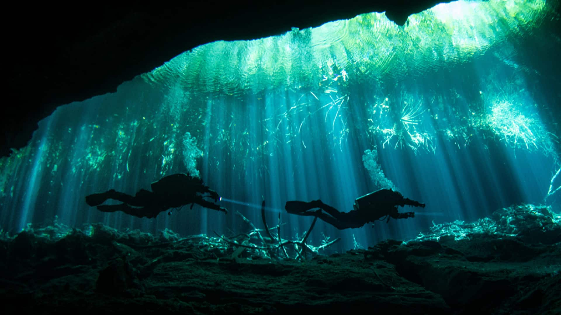 Exploring underwater rivers: Cenote diving adventures