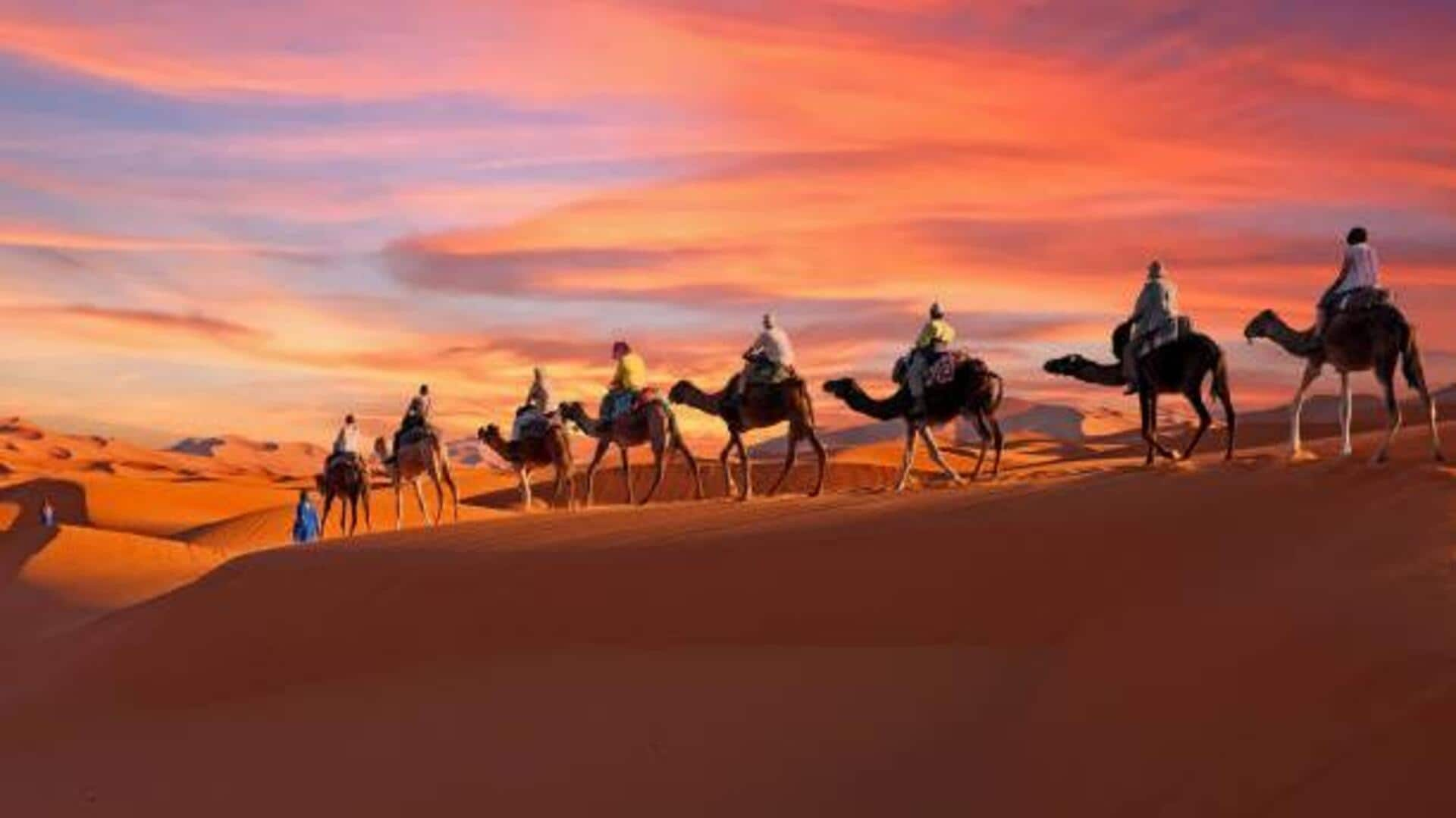 Discovering the Sahel's nomadic cultures by camel trek