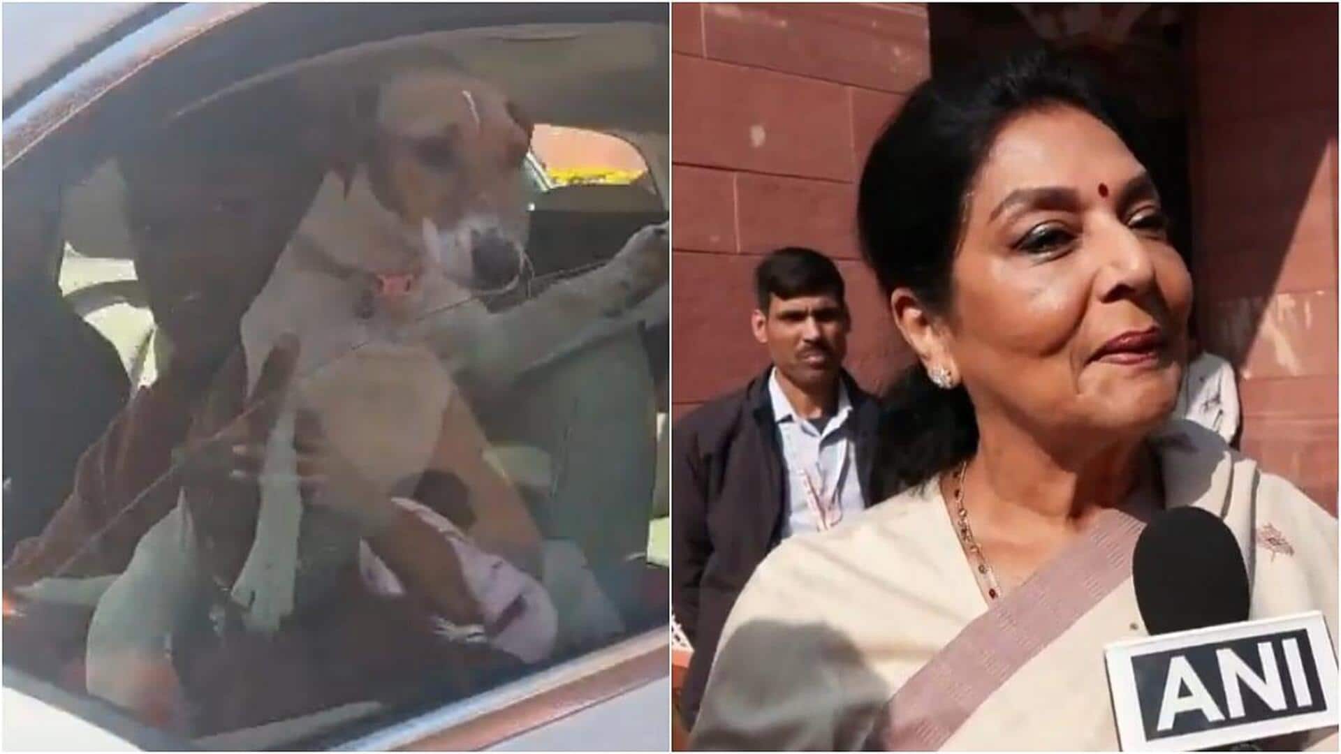 'Biting ones sitting inside': Congress MP brings dog to Parliament  