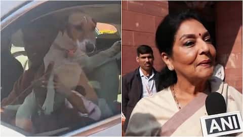 'Biting ones sitting inside': Congress MP brings dog to Parliament  