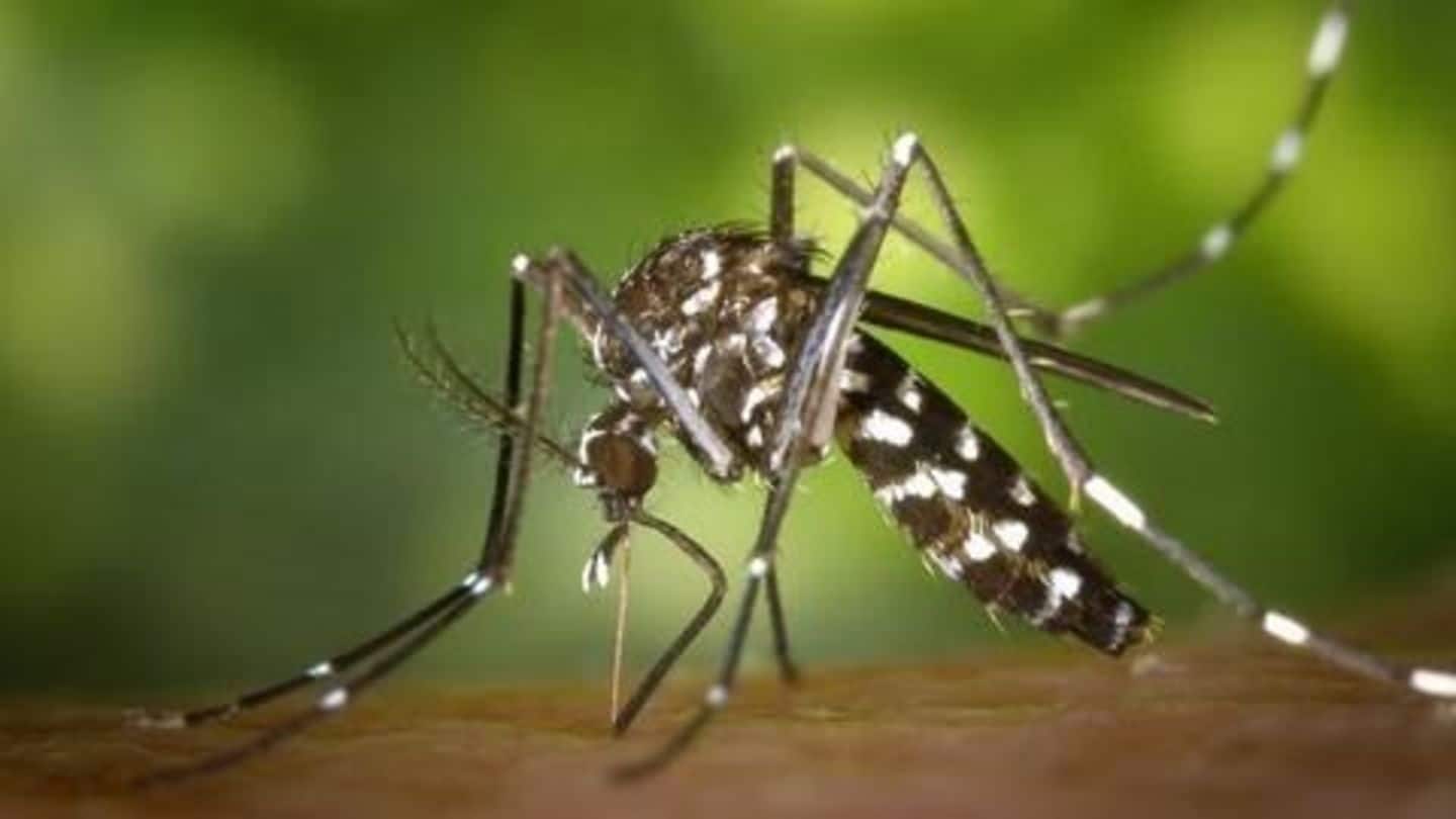 Can smart-tech and robotics eradicate mosquito-borne diseases?