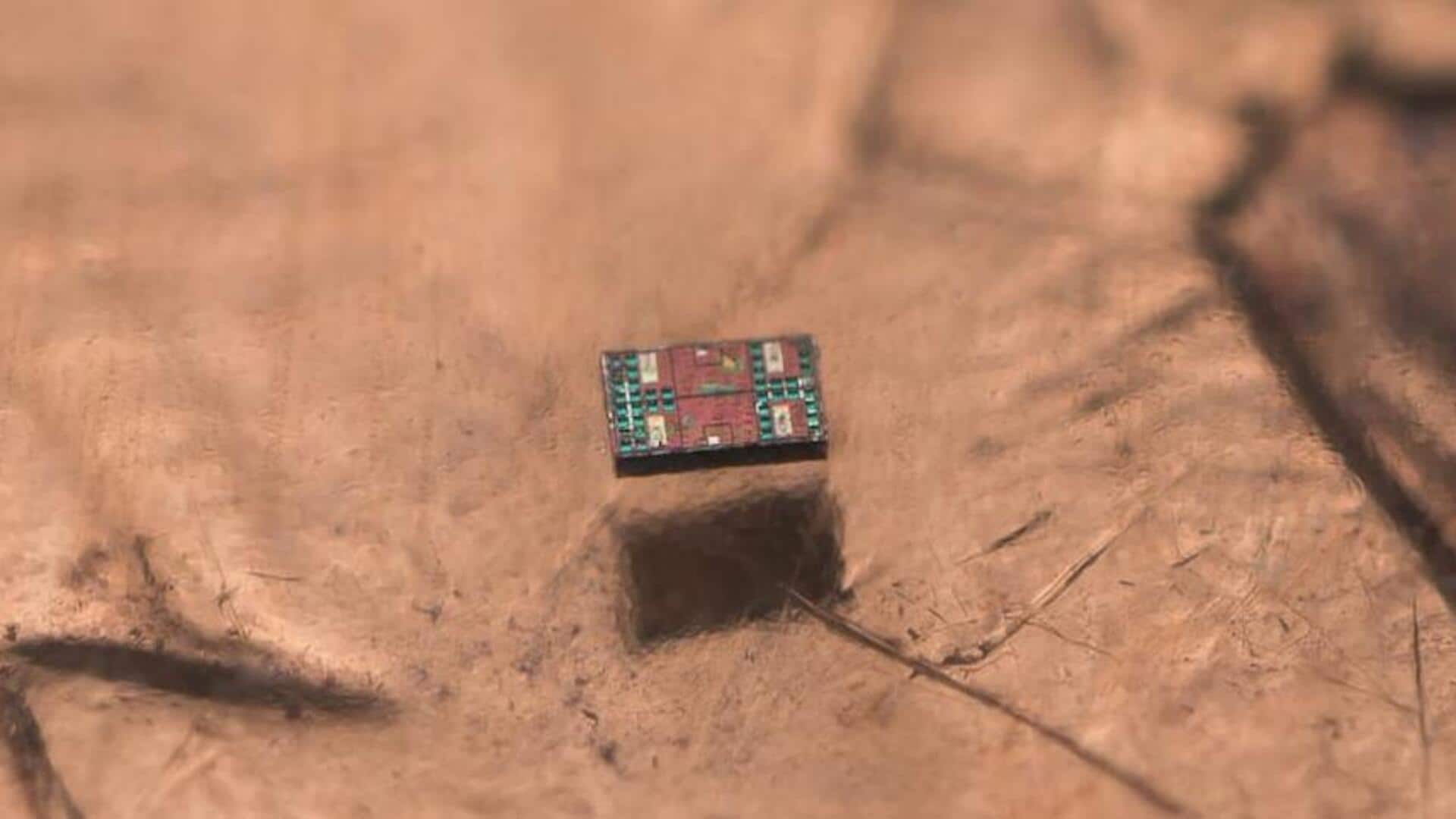 Scientists build sub-1mm robot that can 'sense, think and act'