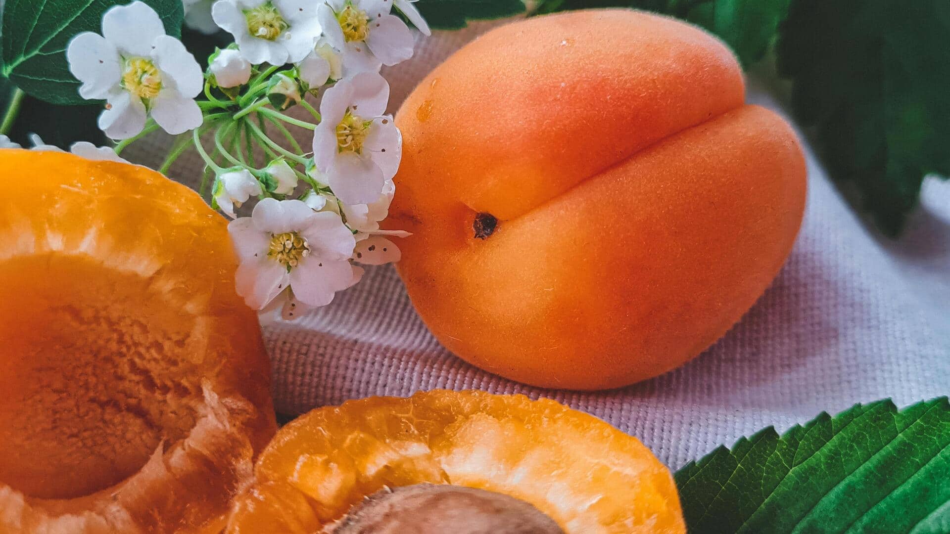 Apricot or Avocado: Which fruit is better for you?