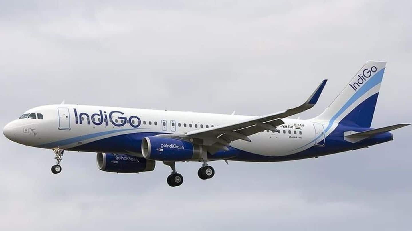 IndiGo will pursue Jet Airways if Air India bid fails