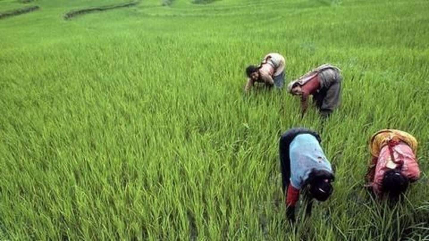 Maharashtra provides immediate relief of Rs. 10,000 to farmers