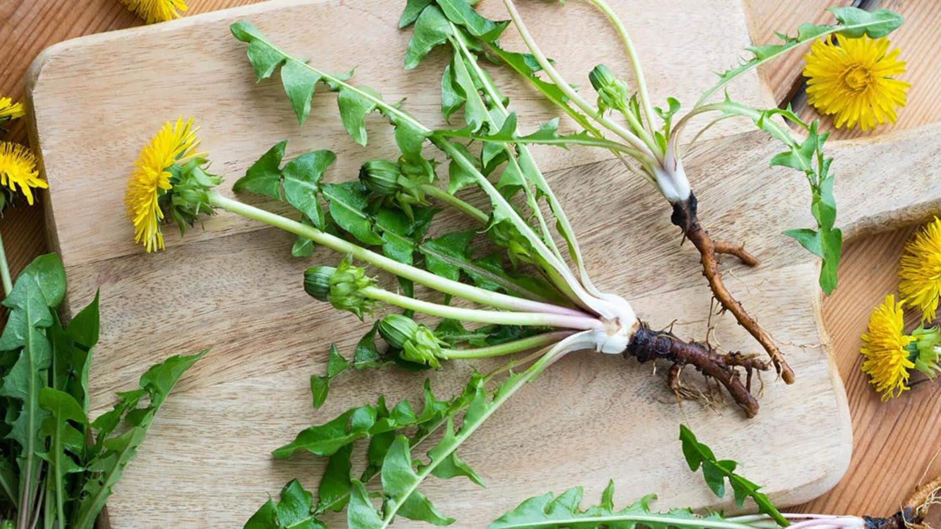 The diverse delights of dandelion greens: An ironclad wonder