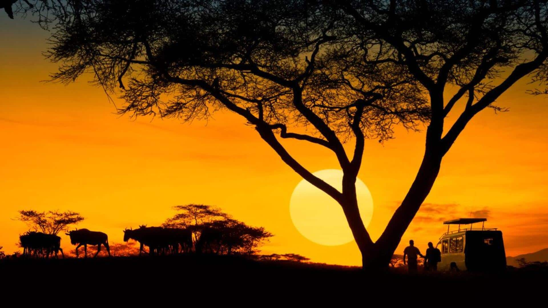 Sunset toasts: How to enjoy African sundowners 