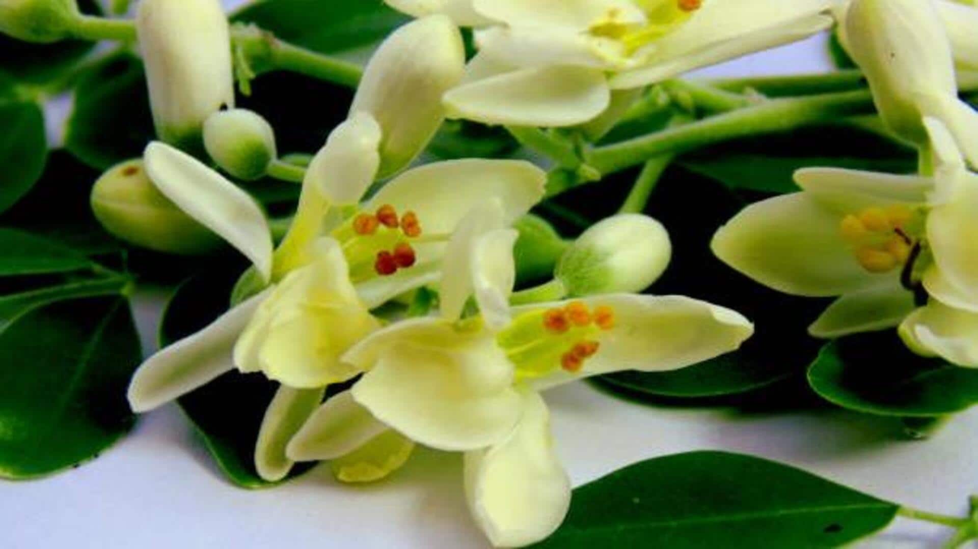 5 creative ways to use moringa flowers