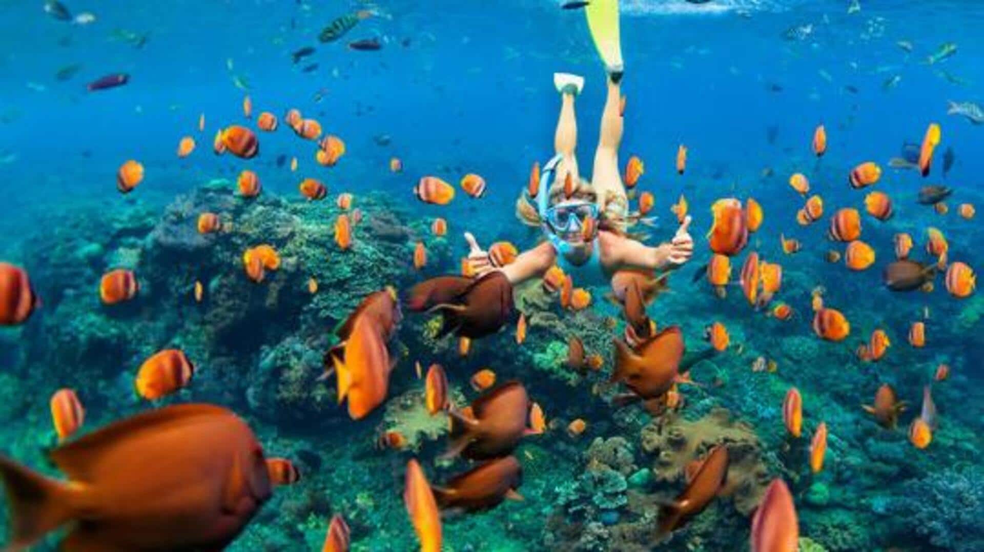 Snorkeling in Iceland: All you need to know