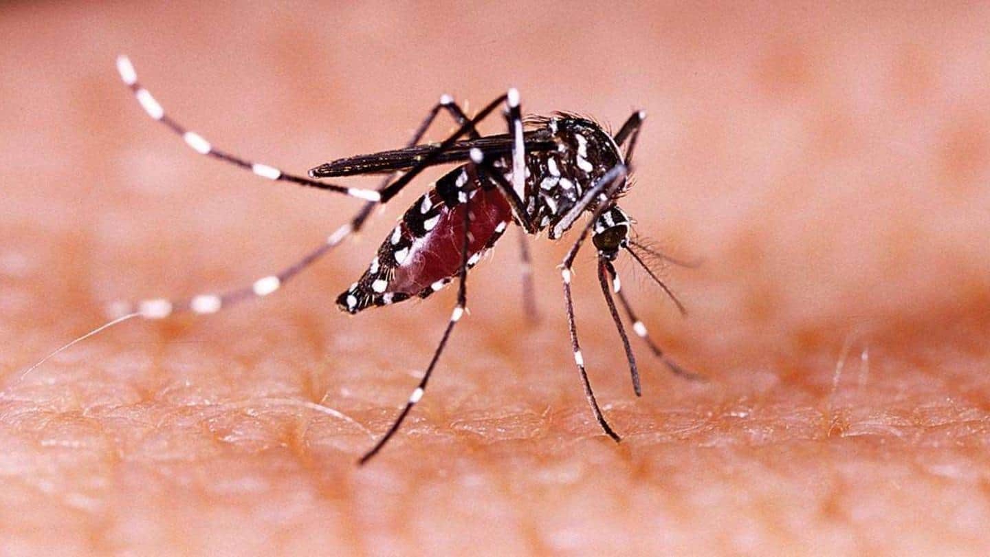 What is the Zika virus? What is the Zika virus?