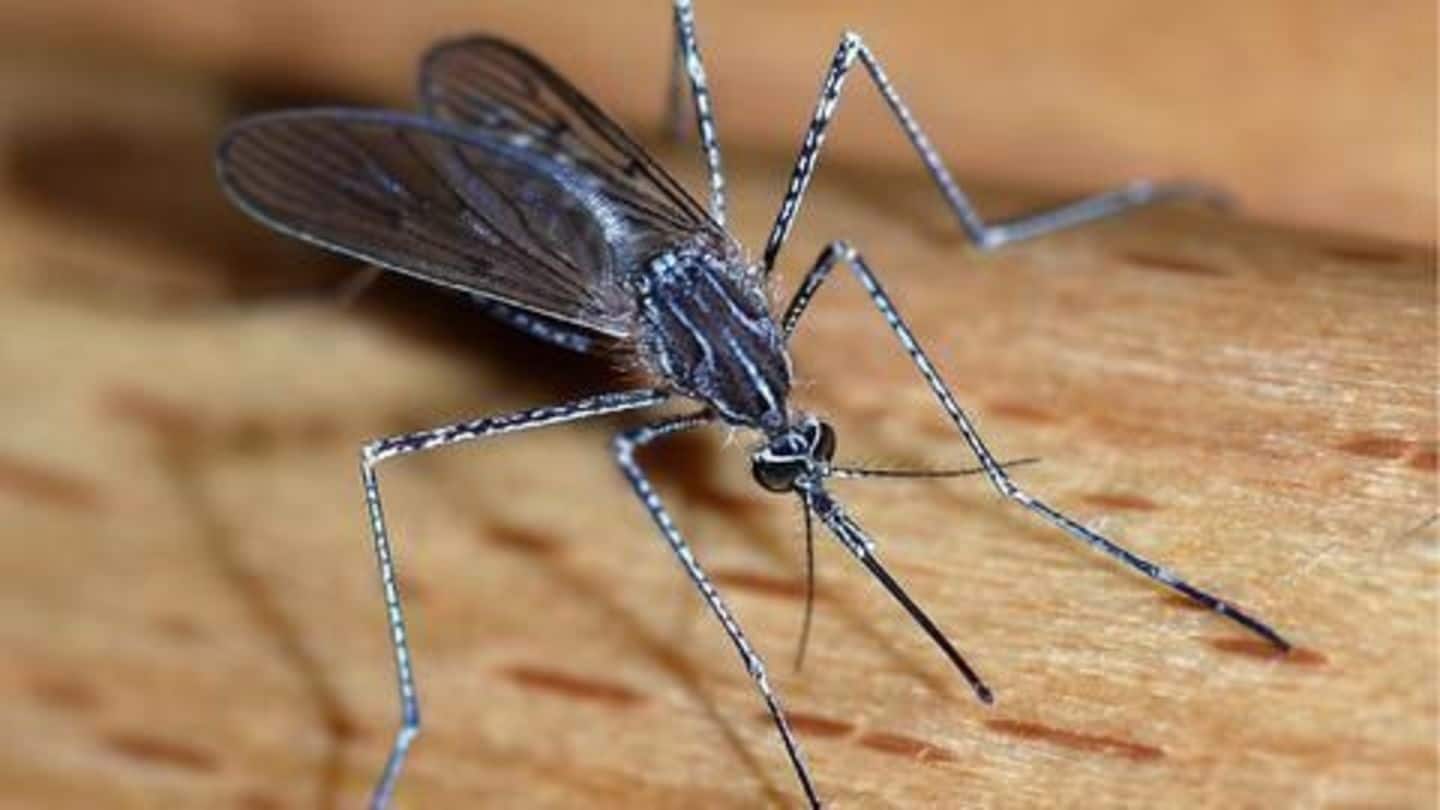 Malaria, Dengue, Chikungunya outbreak in the national capital