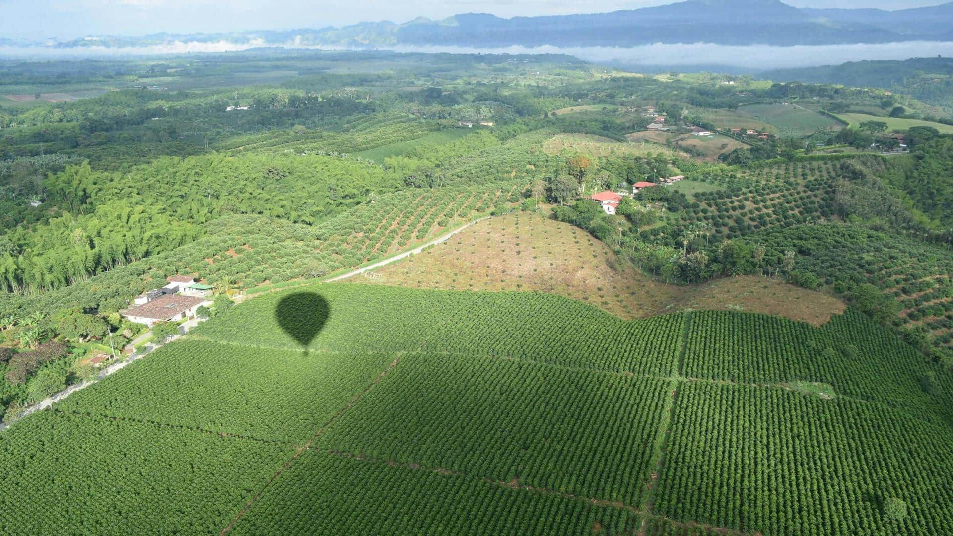 Why Karnataka's coffee plantations are a must-visit for nature lovers