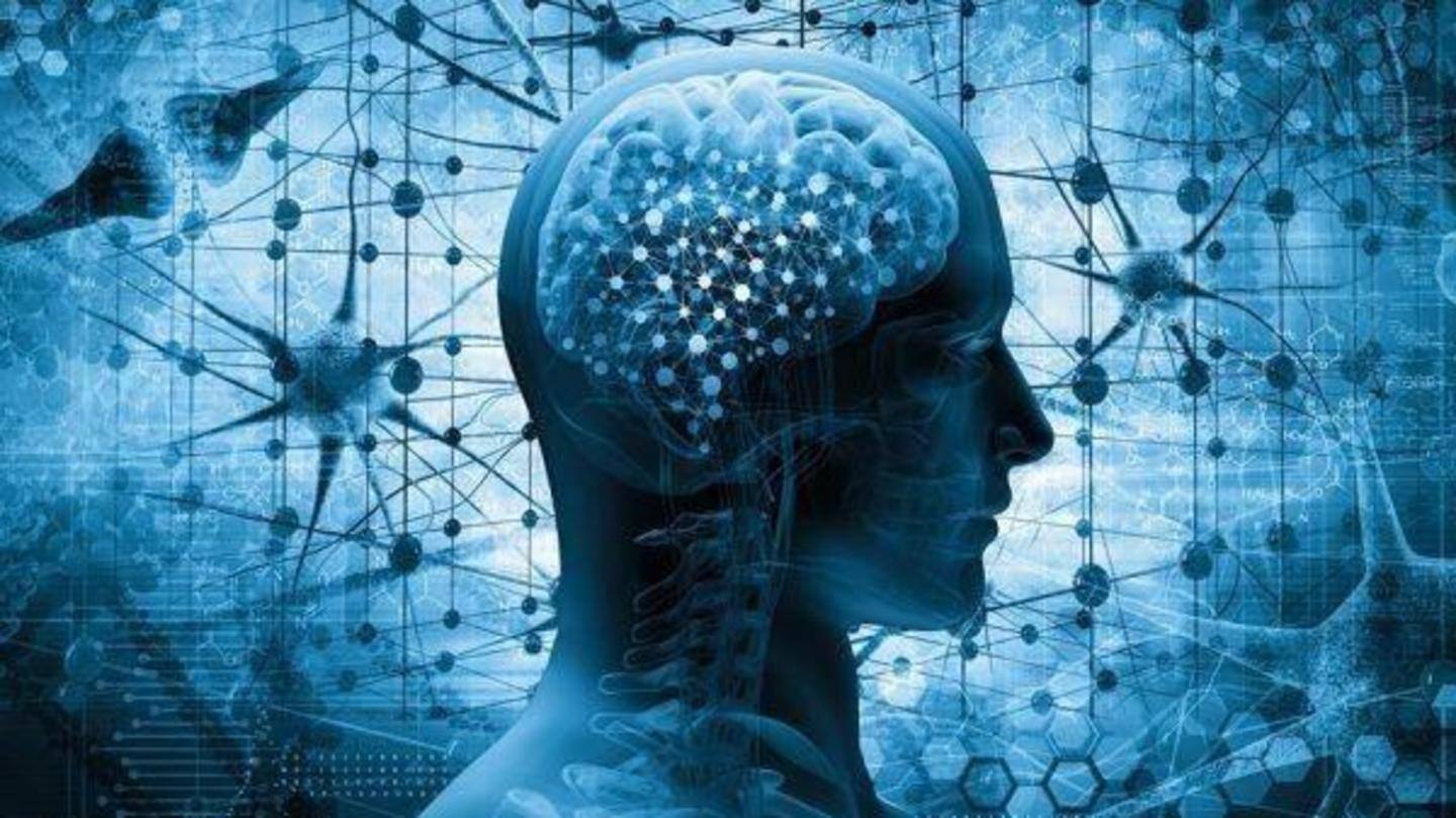 Improves cognitive functions and reduces risk of brain diseases Improves cognitive functions and reduces risk of brain diseases