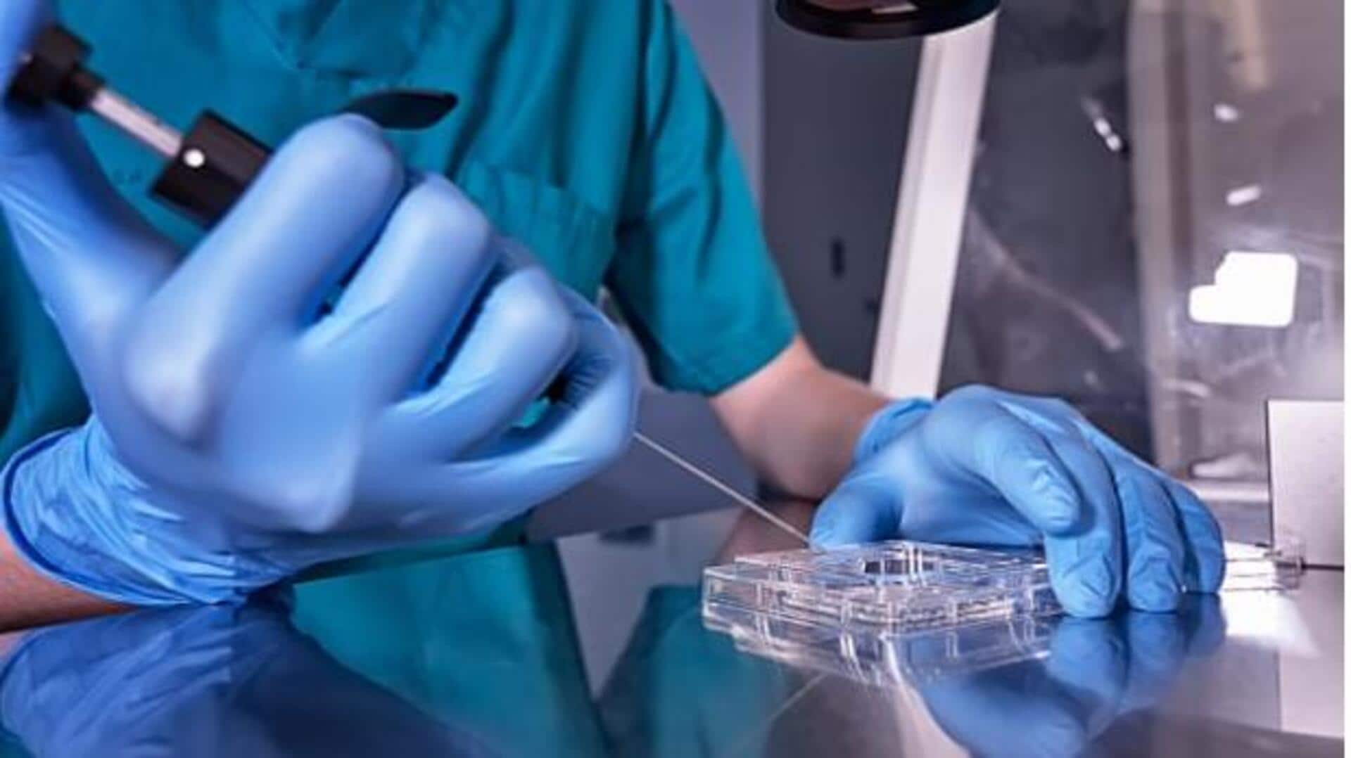 Human sperm, eggs may soon be grown in labs Human sperm, eggs may soon be grown in labs