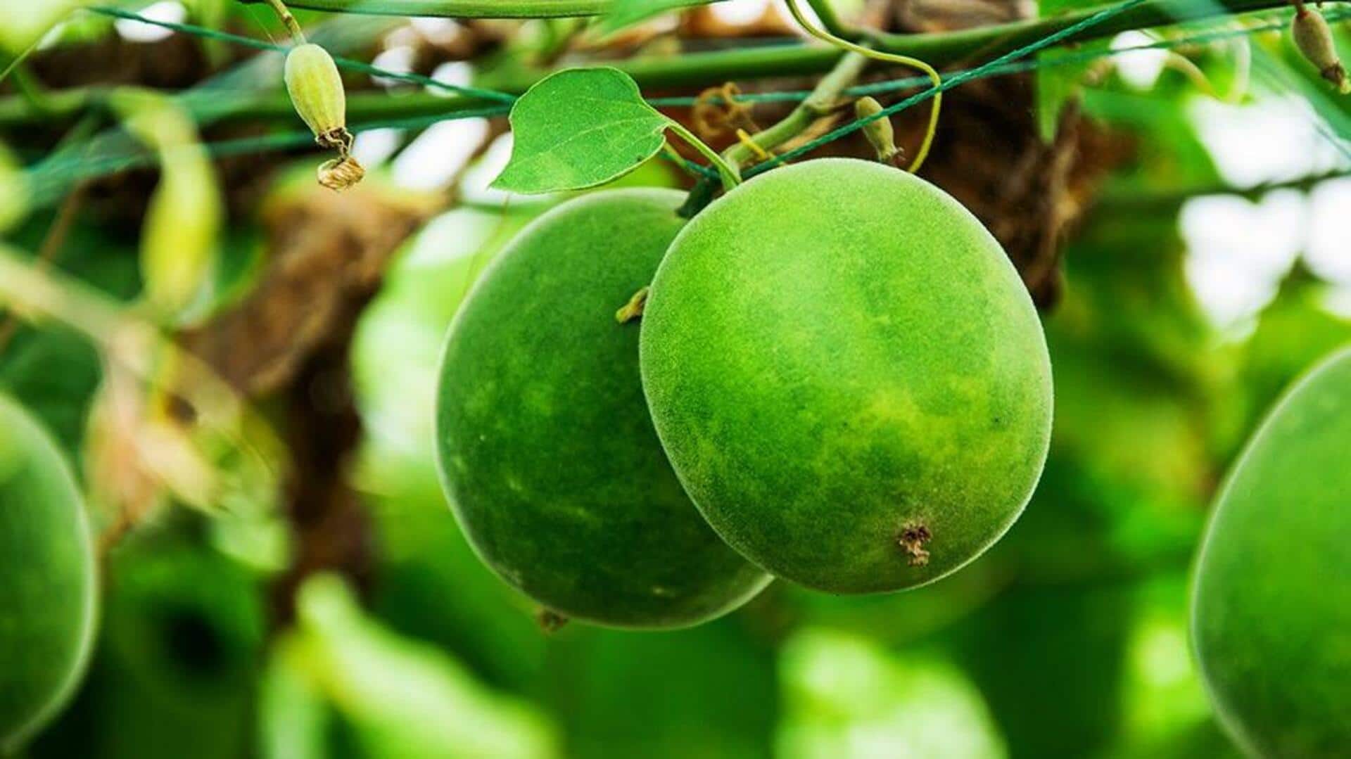 Discover unique health perks of monk fruit