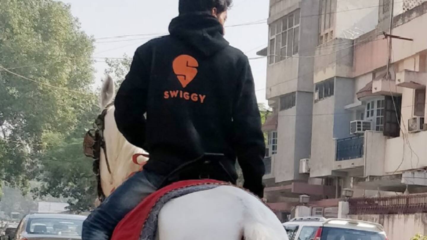 Shahi delivery: Swiggy agent rides horse to drop off order