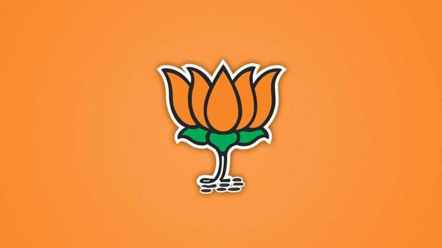 7 reasons why BJP's lotus has bloomed in full swing