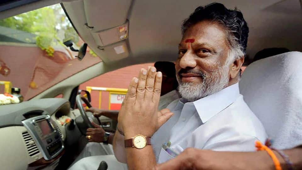 What then led to TTV Dhinakaran's removal from the party? What then led to TTV Dhinakaran's removal from the party?